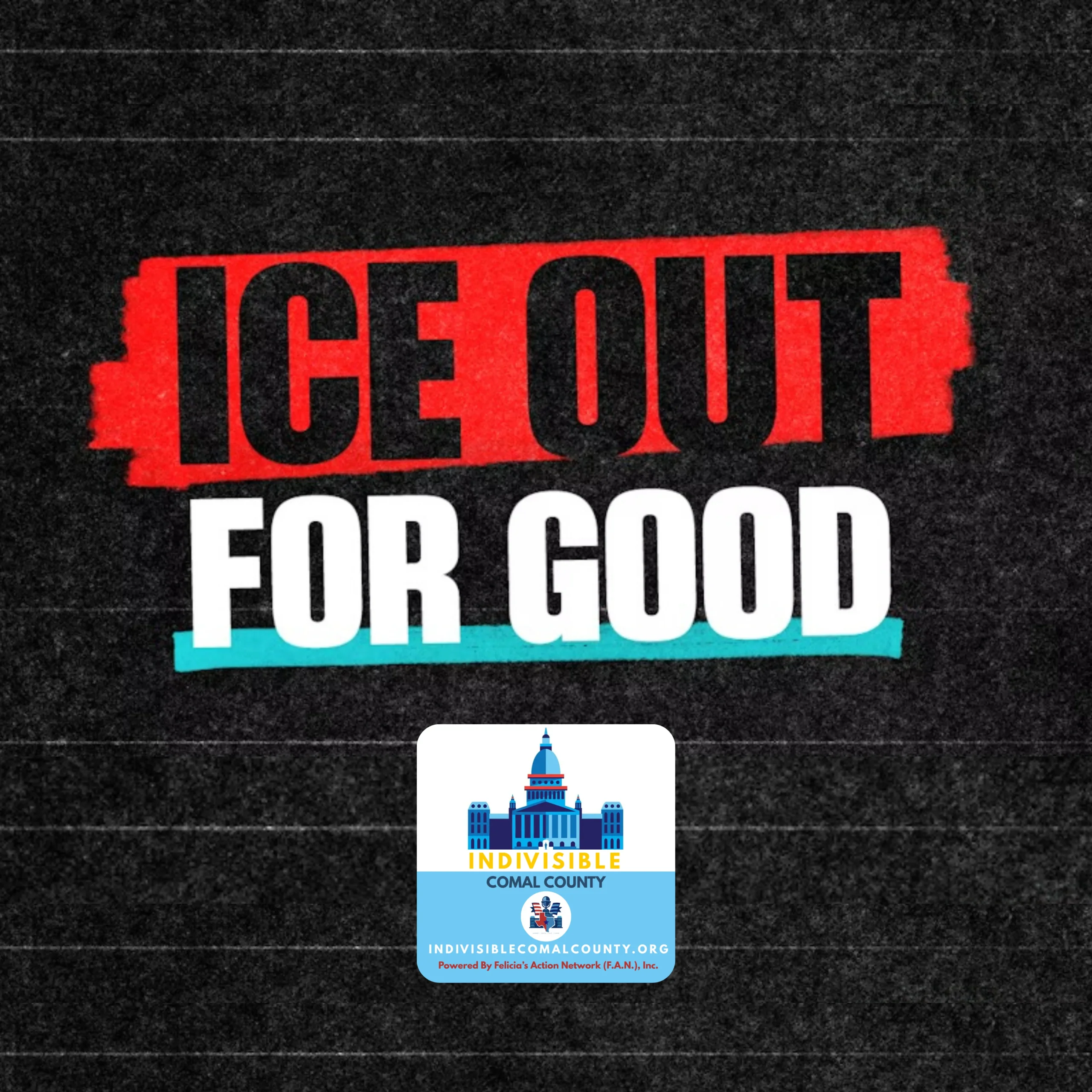 ICE Out for Good New Braunfels – MN Solidarity Day of Action